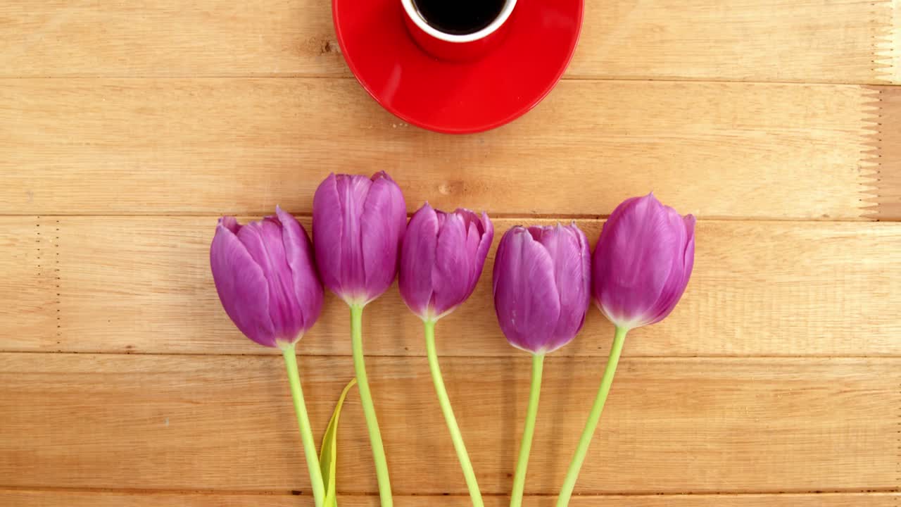 primer plano de una taza de café con un platillo y un tulipán rosa