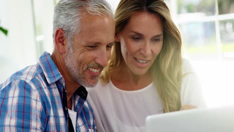 Portrait-of-mature-couple-is-looking-a-laptop