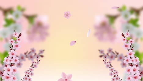 hermosas flores de sakura fondo de flor de cerezo abstracto con bucle en 4k