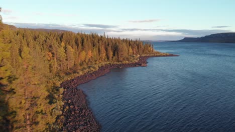 Aerial-descending-shot,-flying-through-tree-pine-top-showcasing-Gautsträsket-lake-at-dusk-in-Ammarnäs,-Lapland,-Sweden