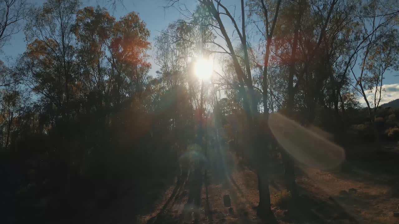 toma aérea de la luz del sol en el camión forestal a la derecha