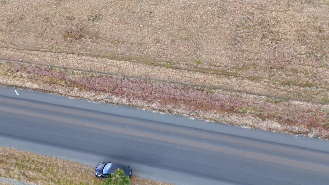 A drone captures a car driving past a solar panel field and lone tree along a rural road in Armidale, NSW, under natural daylight