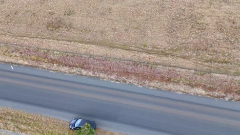 a drone captures a car driving past a solar panel field and lone tree along a rural road in armidale, nsw, under natural daylight