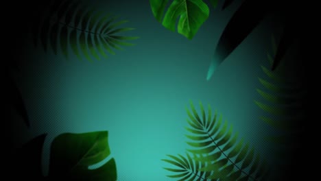 animation of of water drops on green background surrounded by leaves