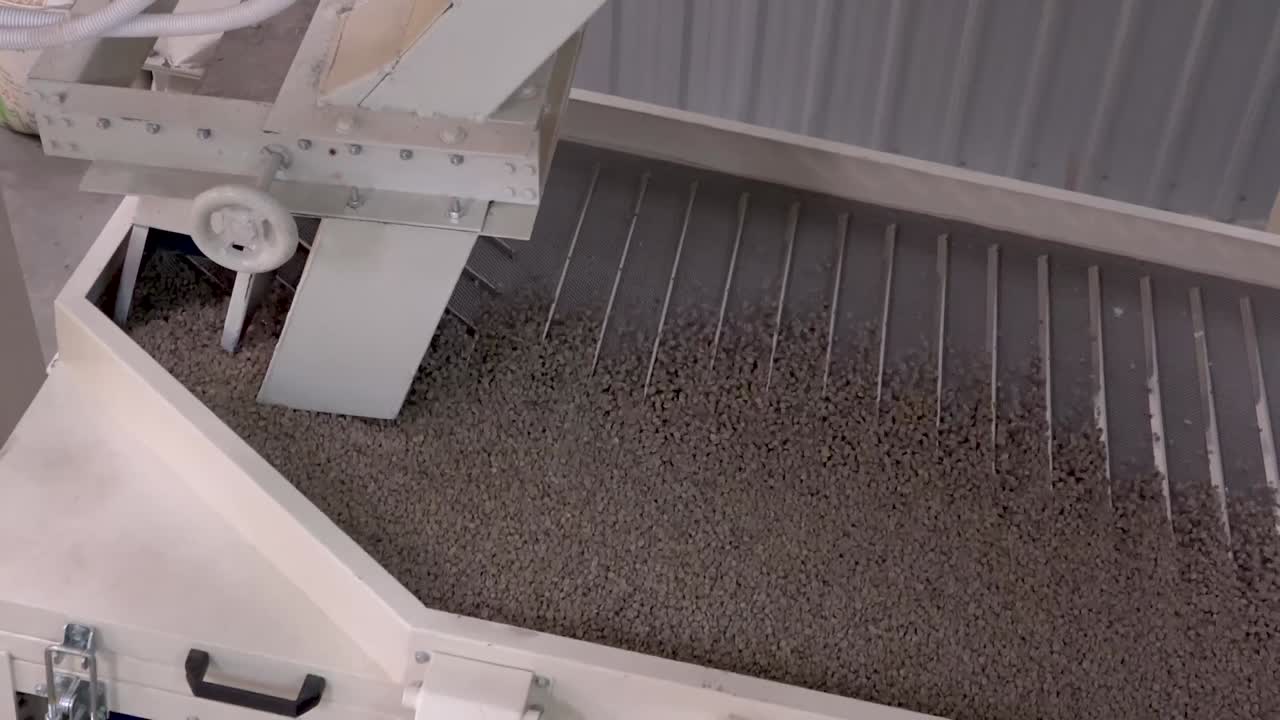 커피 공장 커피 콩 만들기 29.97fps