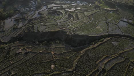 Aerial-drone-shot-of-still-water-reflecting-from-bright-green-rice-terraces-in-the-mountains-of-Sapa,-Vietnam