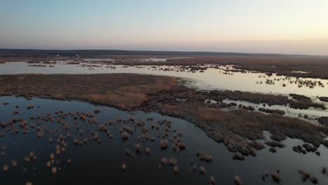 a serene delta at sunset with scattered vegetation reflecting on calm water, aerial view