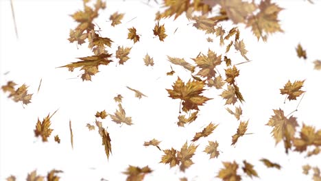 warm brown leaves falling gently through the sky in autumn