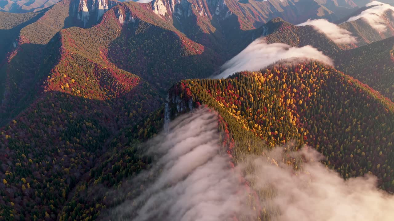 Aerial video of misty mountains with vibrant autumn foliage, showcasing a breathtaking landscape