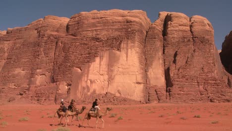 camels move across the vast desert landscapes of wadi rum in the saudi deserts of jordan 1