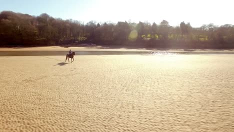 mujer montando a caballo en una playa