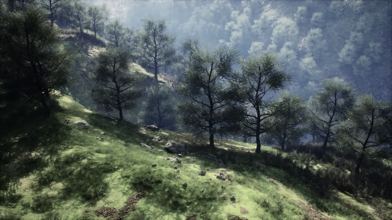 Una vista di un pendio verde in una foresta