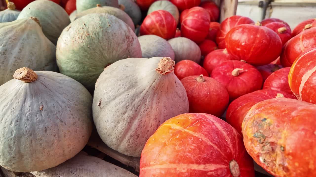 Slow panning close-up of stacked pumpkins and squashes in orange and grey tones, highlighting their natural texture and variety