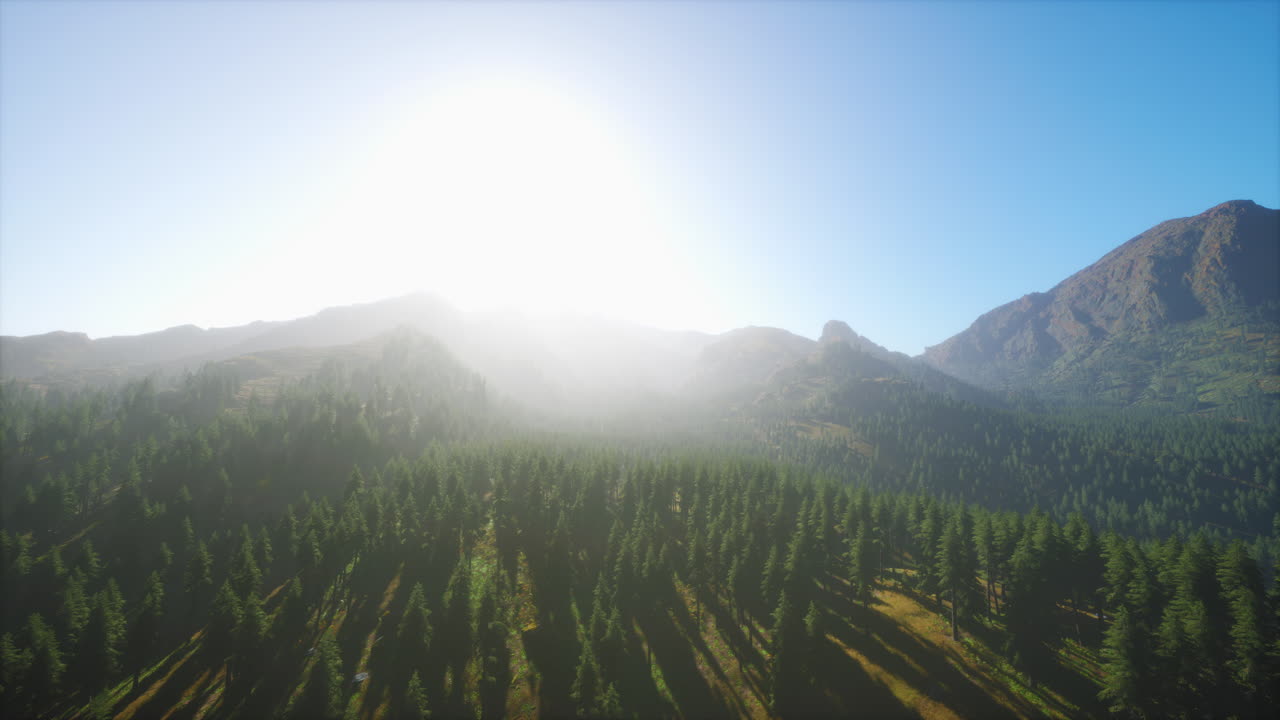 사야 산맥 앞 에 있는 느티나무 숲 에서 아름다운 해가 지는 풍경