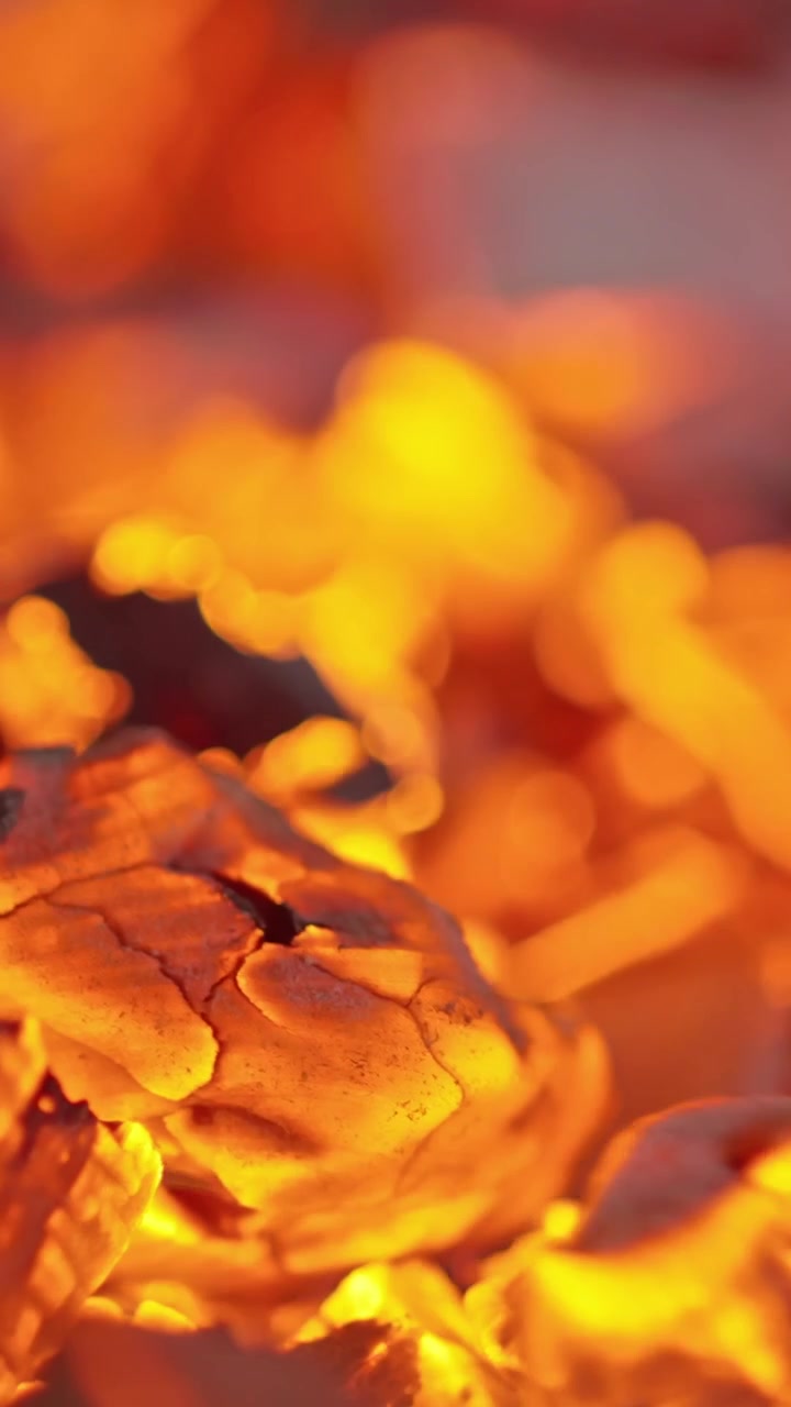 Gros plan de braises de charbon de bois rougeoyantes et incandescentes