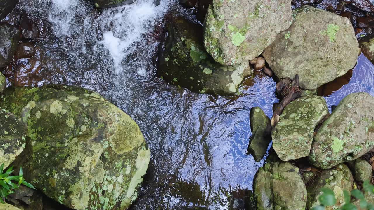 A steady overhead shot captures clear water flowing over moss-covered rocks in a natural stream, with bright daylight and minimal camera movement