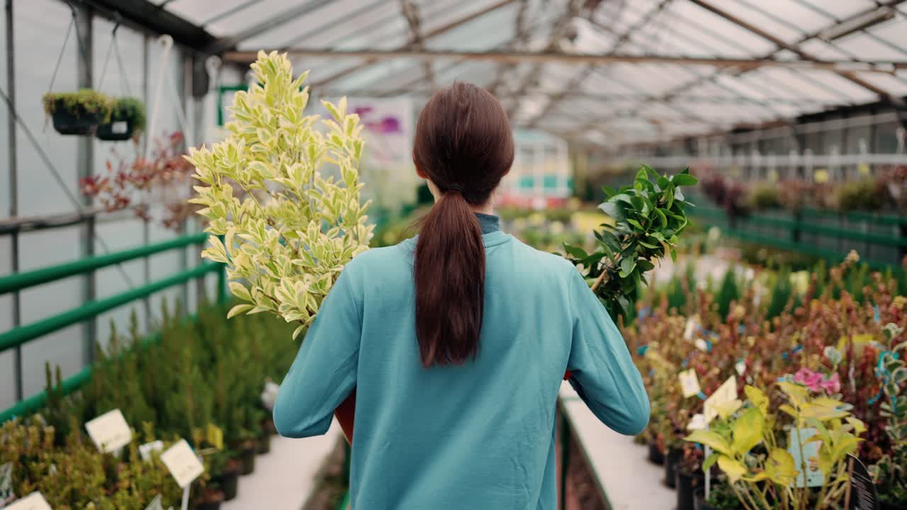 온실 에서 두 개의  ⁇ 비 를 가지고  ⁇ 고 있는 여자 의 뒷면
