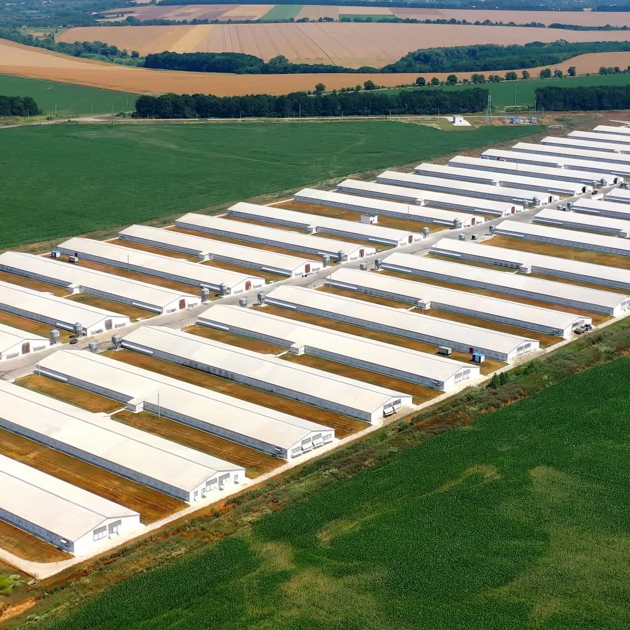 Huge farm in rural landscape. Aerial view of big agricultural farm