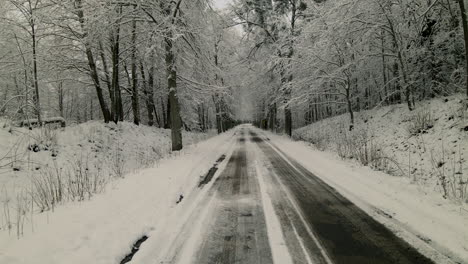 Carretera-Rural-Vacía-En-Medio-De-árboles-Desnudos-Durante-La-Temporada-De-Invierno-Nevada-En-Pieszkowo-Polonia---Tiro-De-Seguimiento