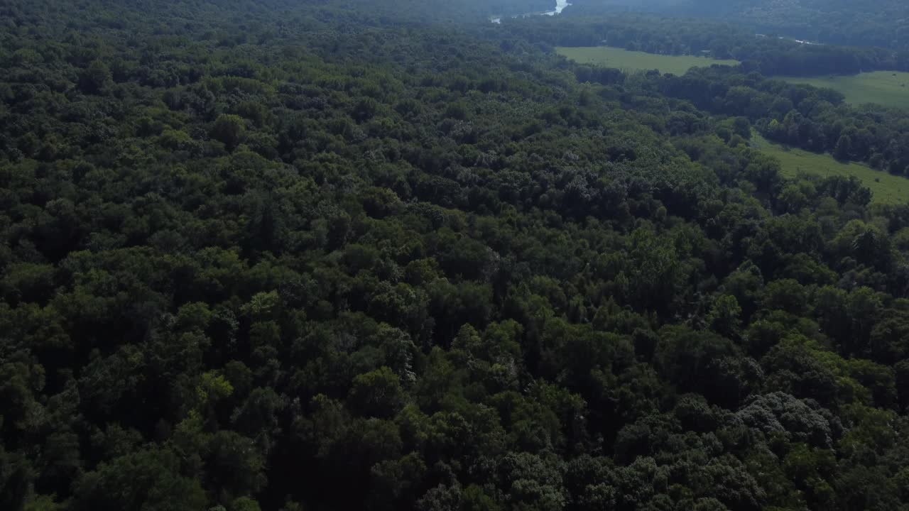 vista de pájaro sobre un bosque rural y agua de río