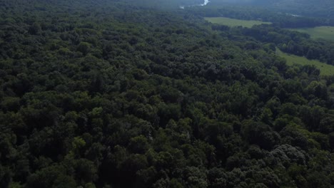 Vista-De-Pájaro-Sobre-Un-Bosque-Rural-Y-Agua-De-Río