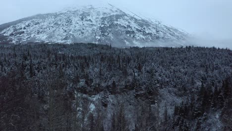 El-Dron-Gana-Altitud-Para-Mostrar-La-Montaña-De-Alaska-Más-Allá-De-La-Línea-De-árboles
