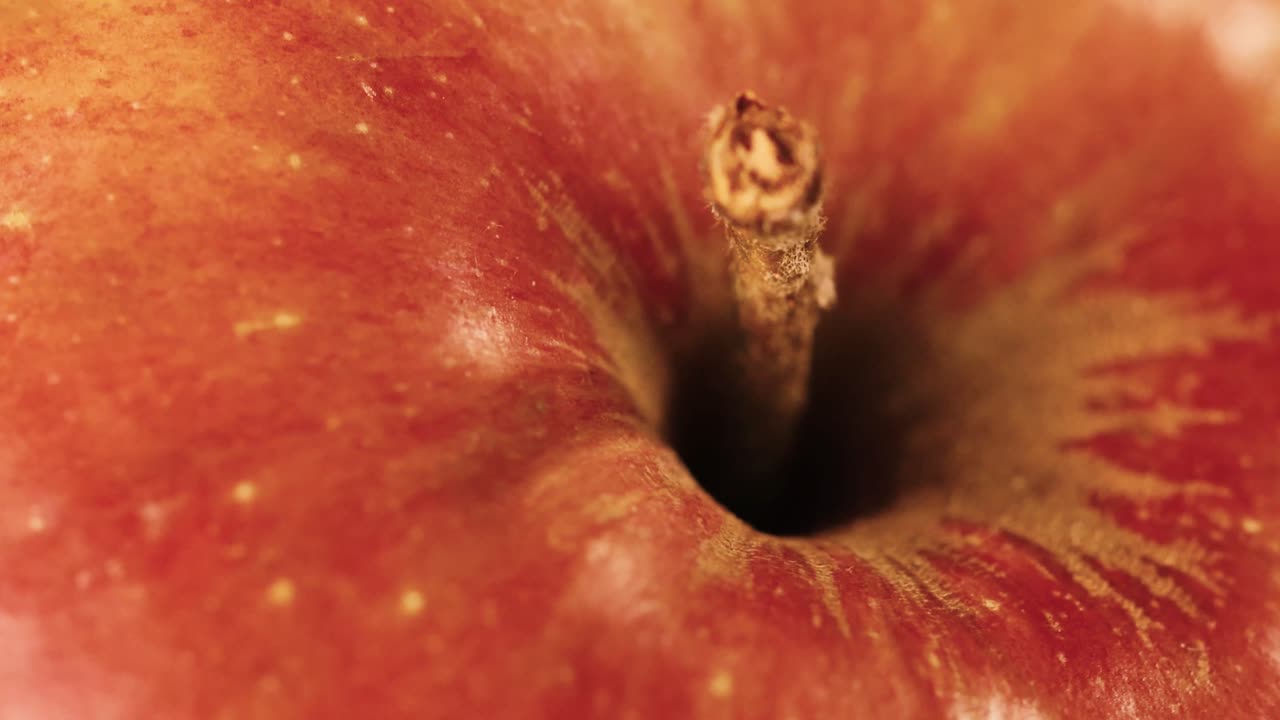Shot of stem and top of red apple