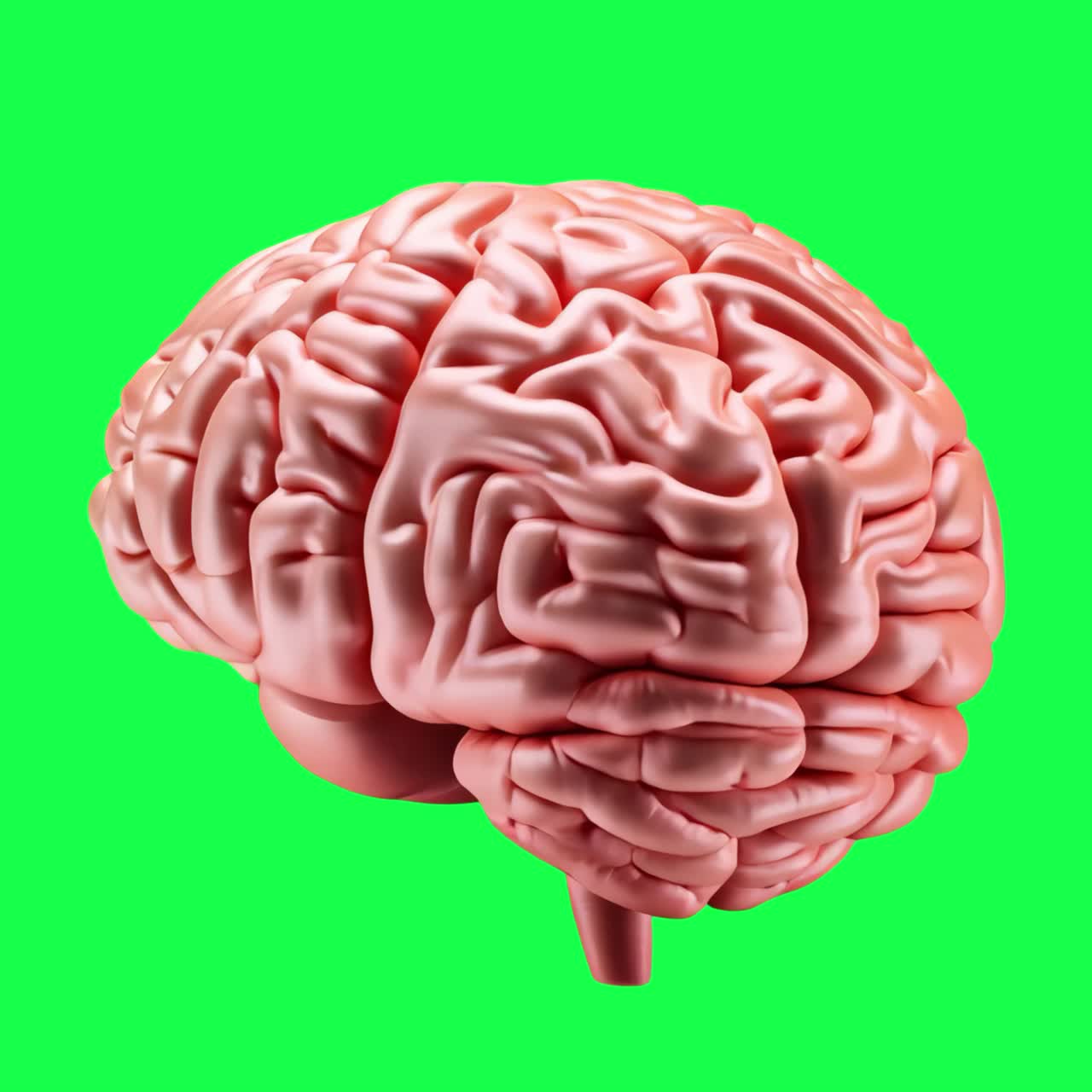 3d human brain animation, transparent 4K video, green screen