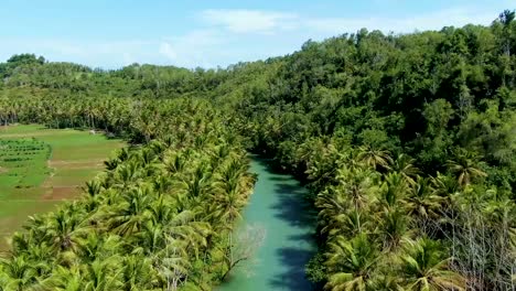 maron river and lush untouched green forest in pacitan, indonesia