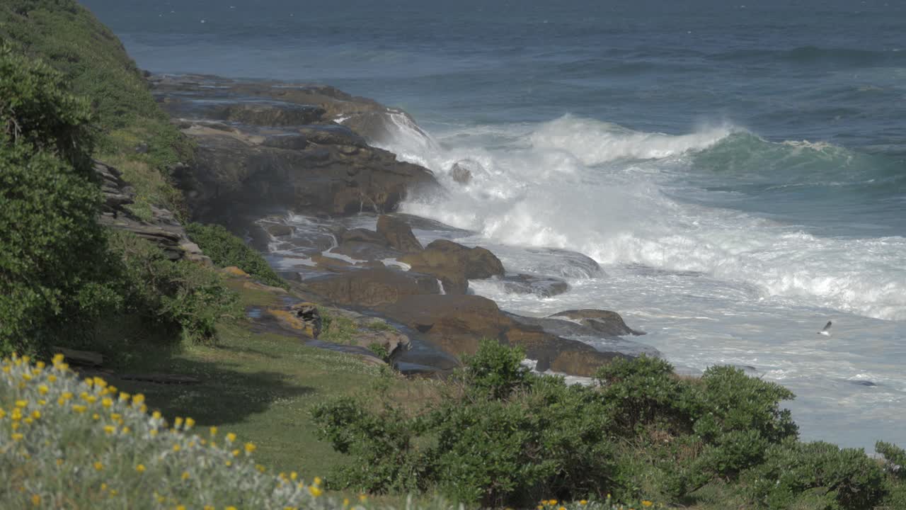 playa bronte - olas del océano rompiendo en la costa rocosa en verano - sydney, nueva gales del sur, australia