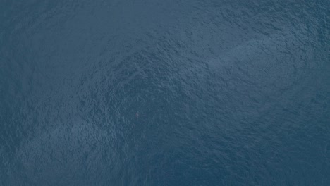 drone view, slow pan up from the water in the ocean