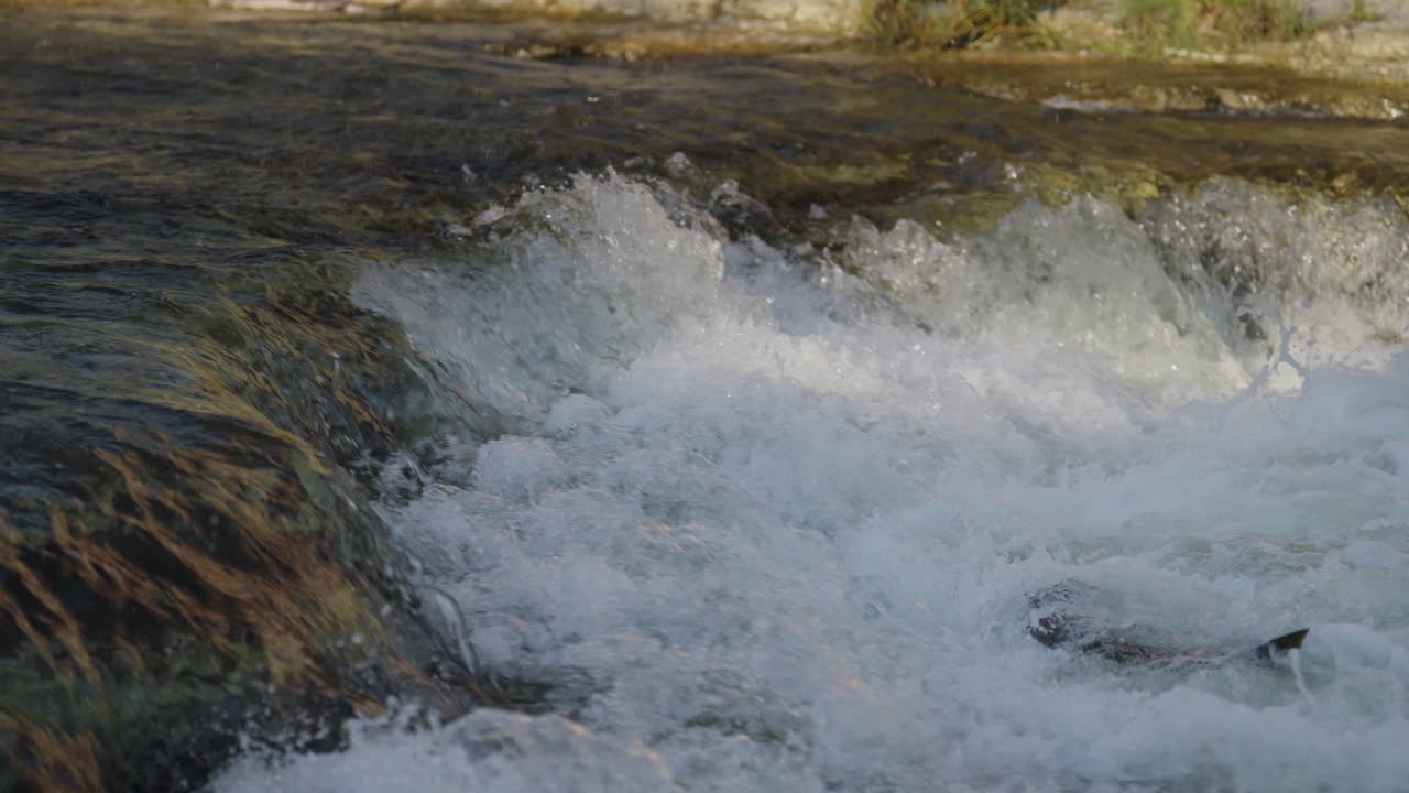 Flowing river water splashes energetically over rocks, natural scene