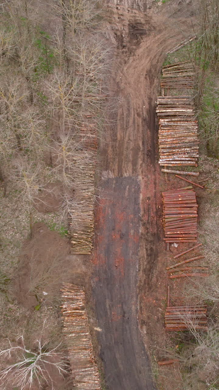 High angle aerial shot showing stacked timber logs and cleared land in a forest area, highlighting industrial logging and environmental impact