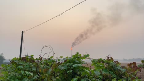 burning gas plant flame, fumes contaminating sky, shot behind bush, day