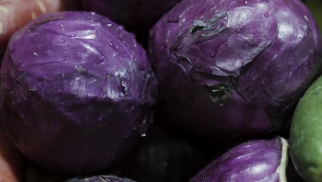 purple cabbage at vegetable store for sale at evening