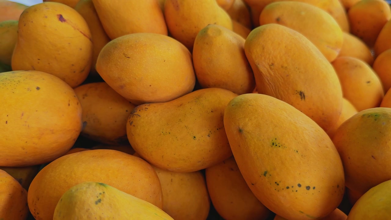 Carrellata lenta cinematografica di manghi gialli maturi impilati in un mercato della frutta locale, che mostra il raccolto fresco, il colore vibrante e i prodotti tropicali naturali