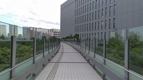 tokyo toyosu pedestrian deck 2022