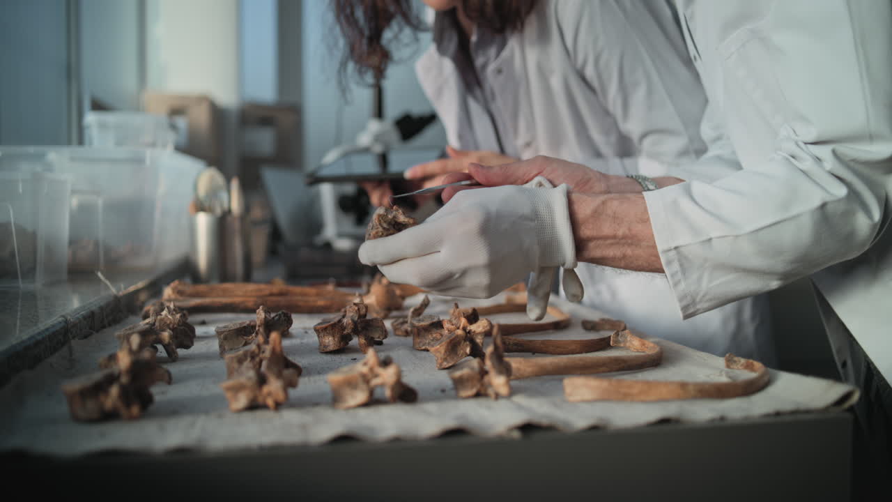 científicos examinando huesos antiguos en un laboratorio