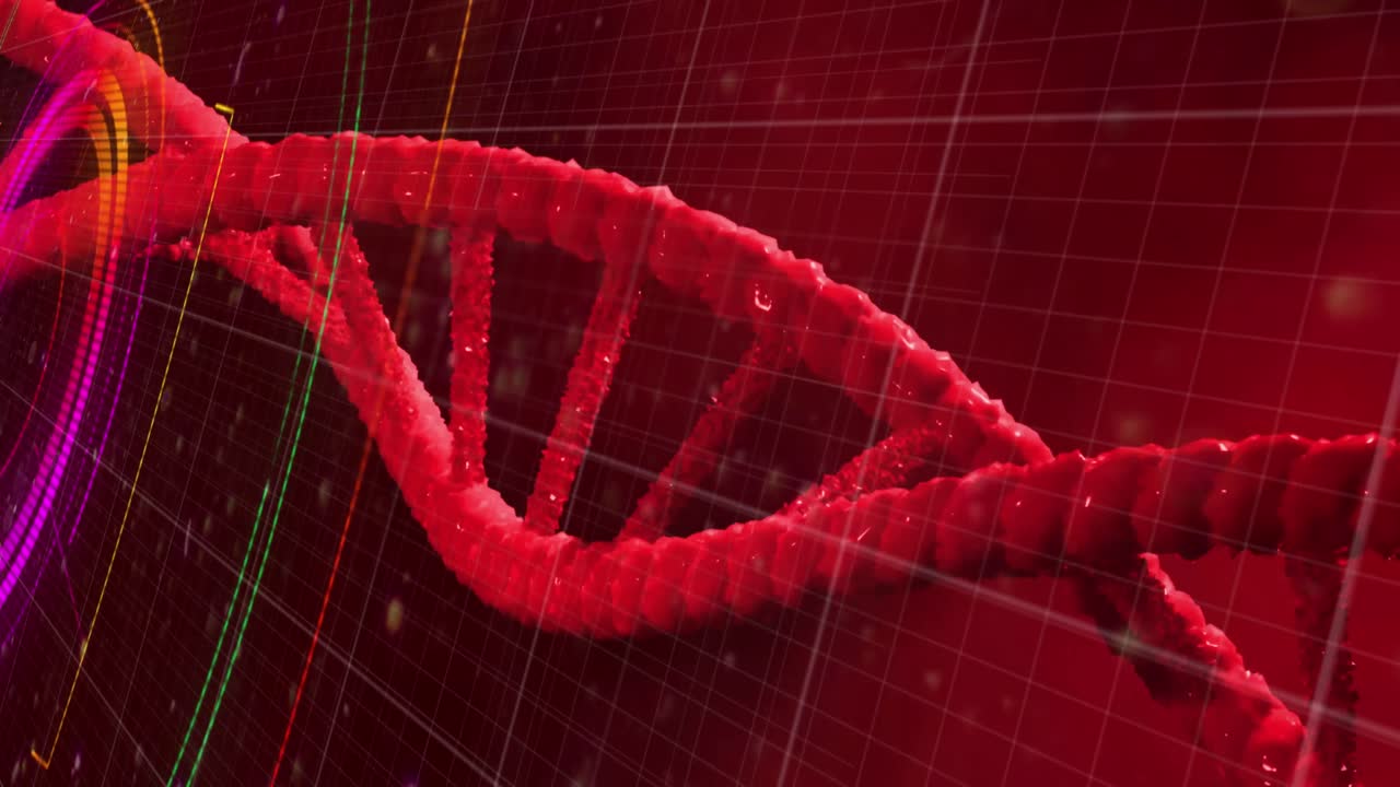 dna 가닥에 대한 데이터 처리의 애니메이션