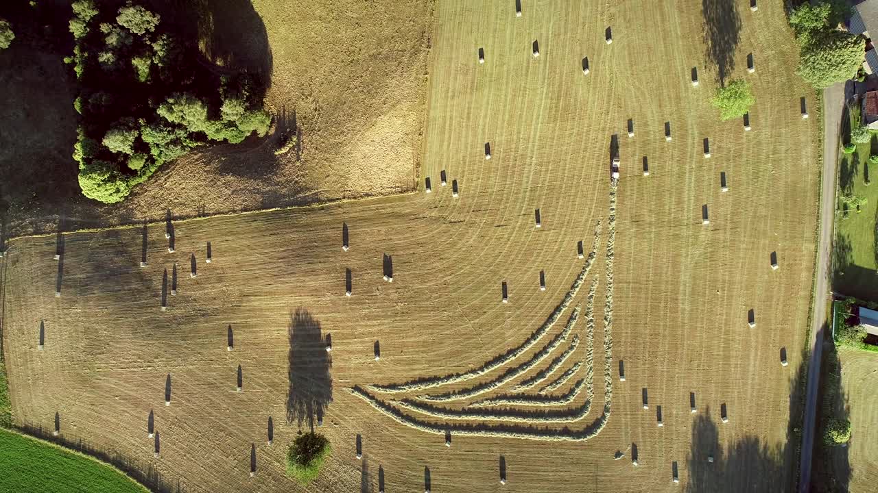 어리 를 수확 하는 트랙터 의 공중 사진.