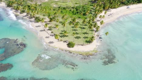 tropical beach with clear blue sea at summer - playa costa esmeralda in miches, dominican republic