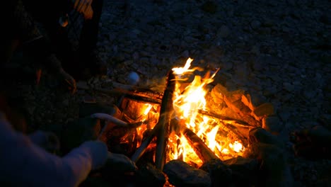 group of hikers roasting marshmallows near campfire 4k