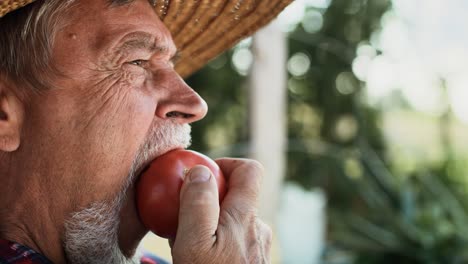 close up video of senior man eating ripe tomatoes