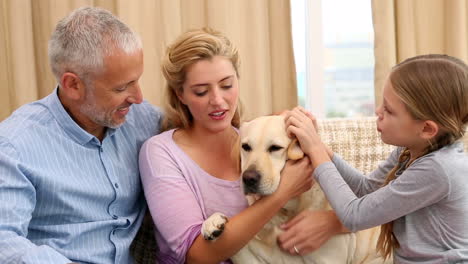 happy family petting labrador on couch