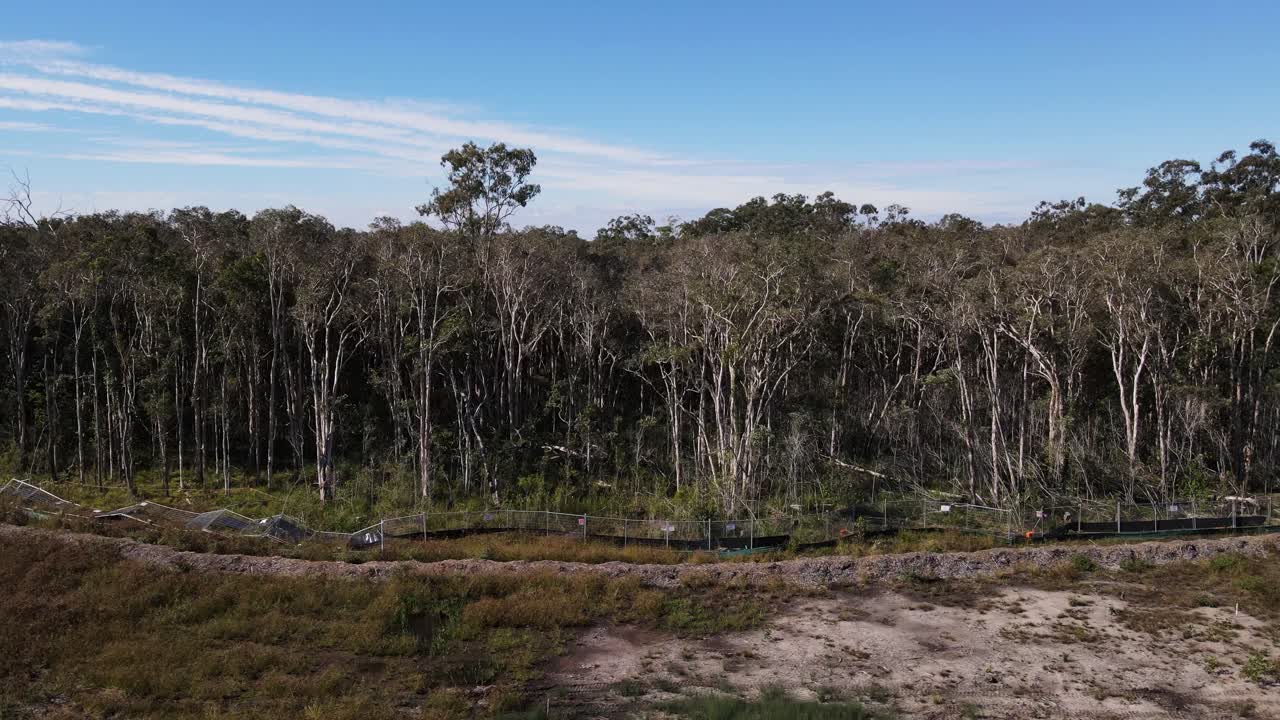 Expansive Landscape with Forest and Open Field