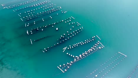 Oyster-farm-Carlsbad-lagoon-drone-view