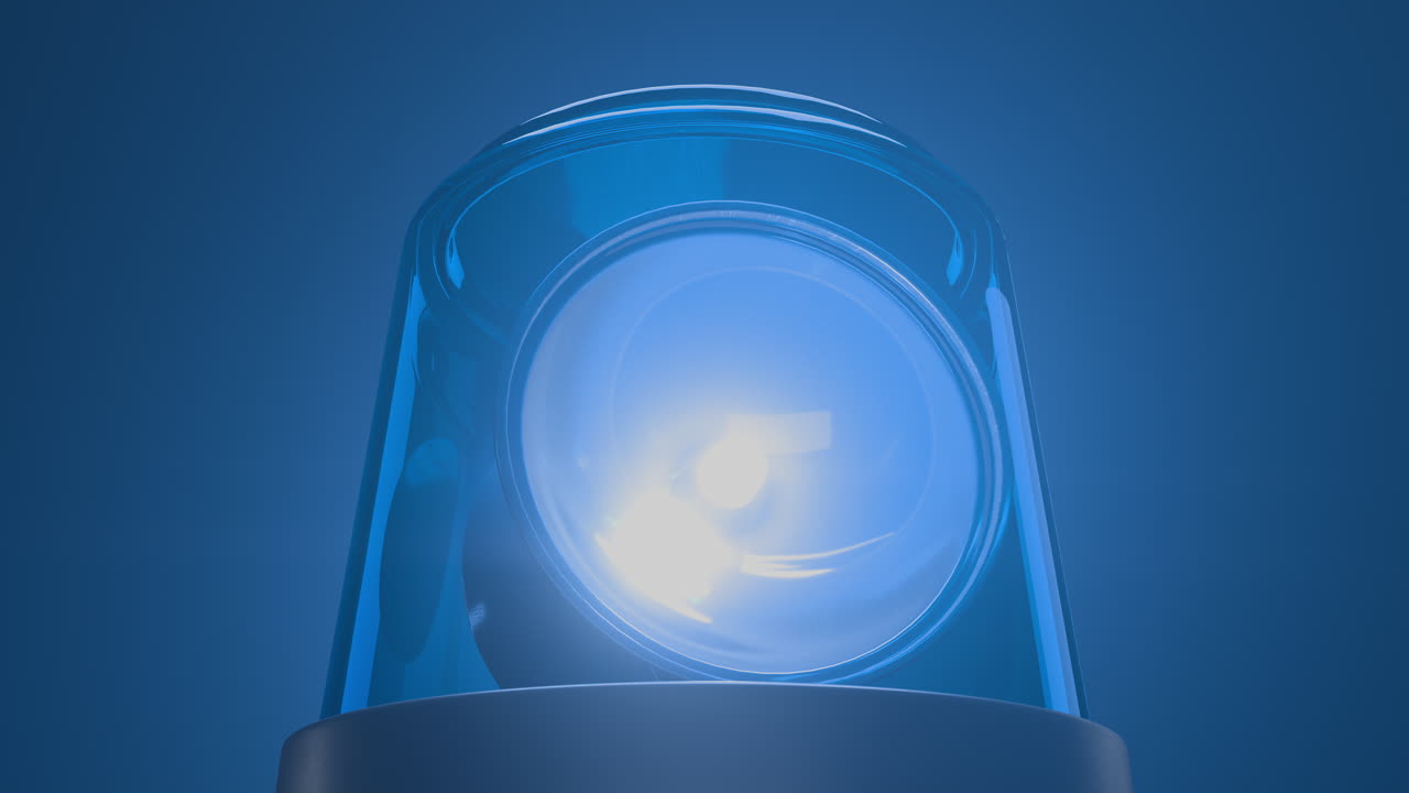 블루 루프 응급 플래셔와 볼 라이트