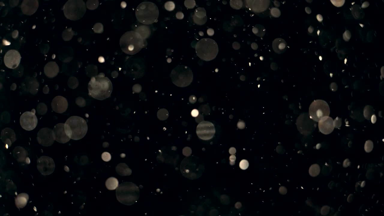 Elegant, detailed, and delightful bokeh and particles visuals with shallow depth of field underwater