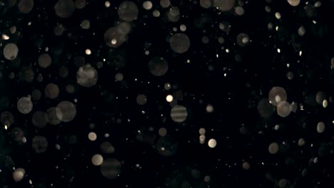 elegante, detallado y delicioso bokeh y partículas visuales con poca profundidad de campo bajo el agua