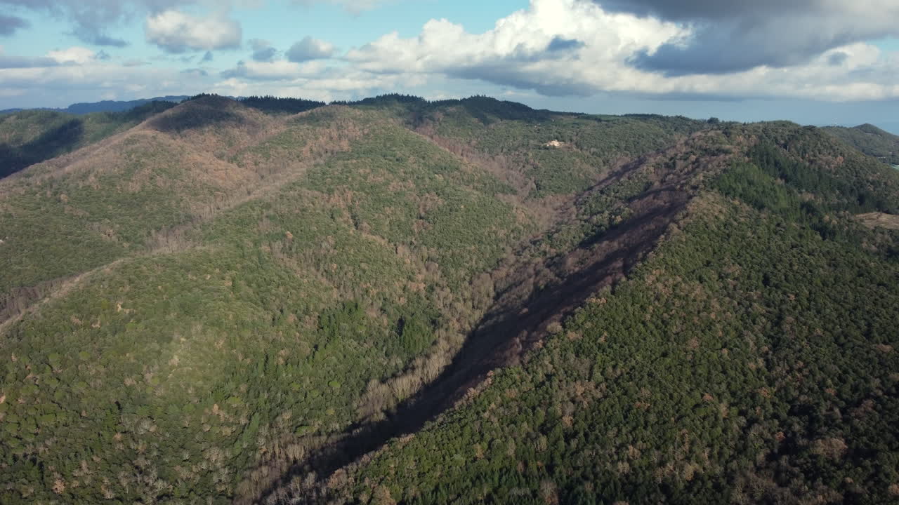 산악 숲 풍경 의 공중 사진